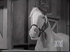 Mister Ed